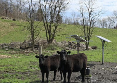 Reading Anthracite Environmentally Responsible Solutions Photo